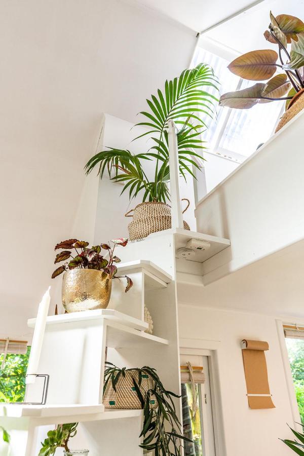 Palm Road Cottage Palm Beach Exterior foto