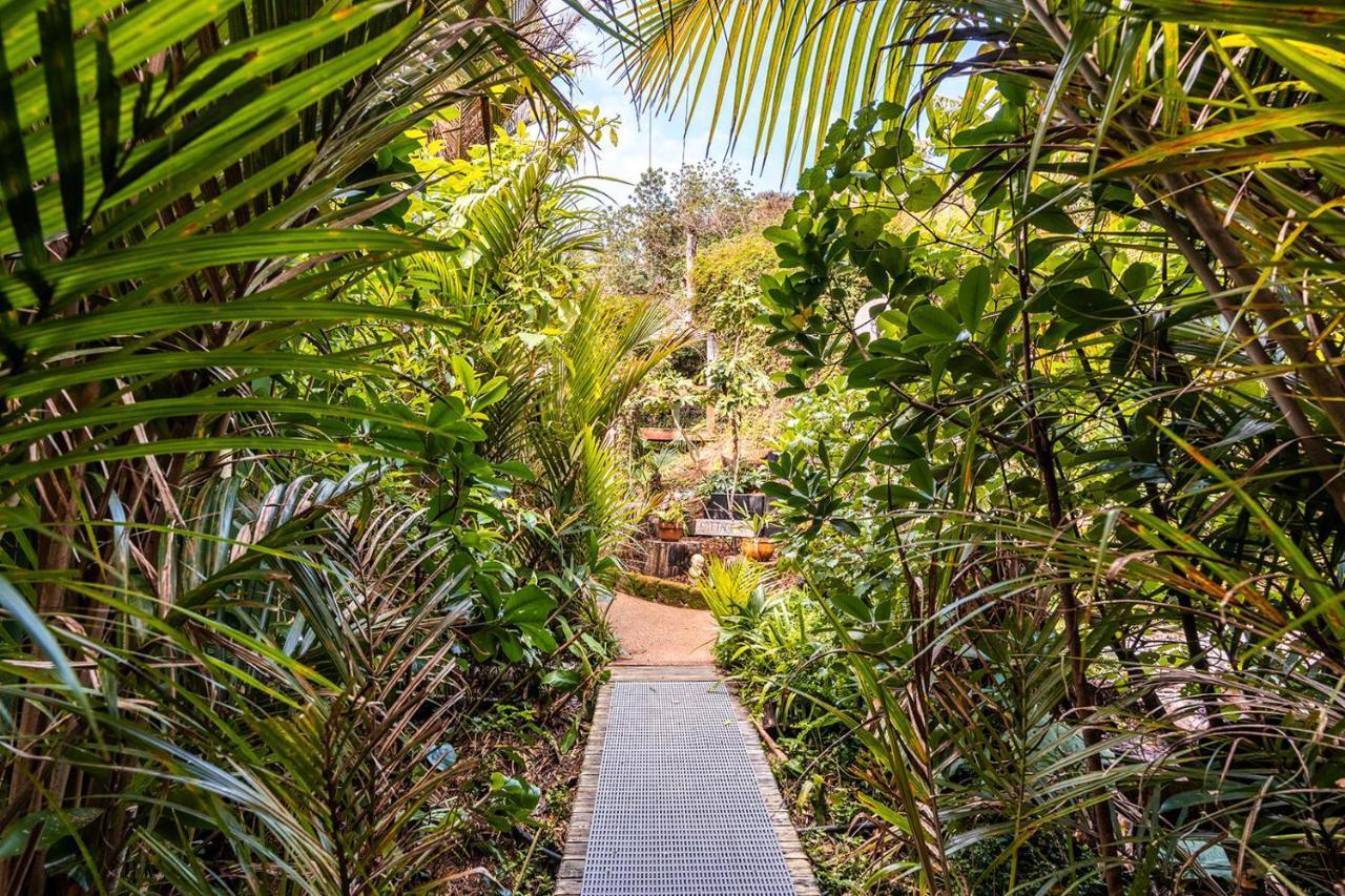 Palm Road Cottage Palm Beach Exterior foto