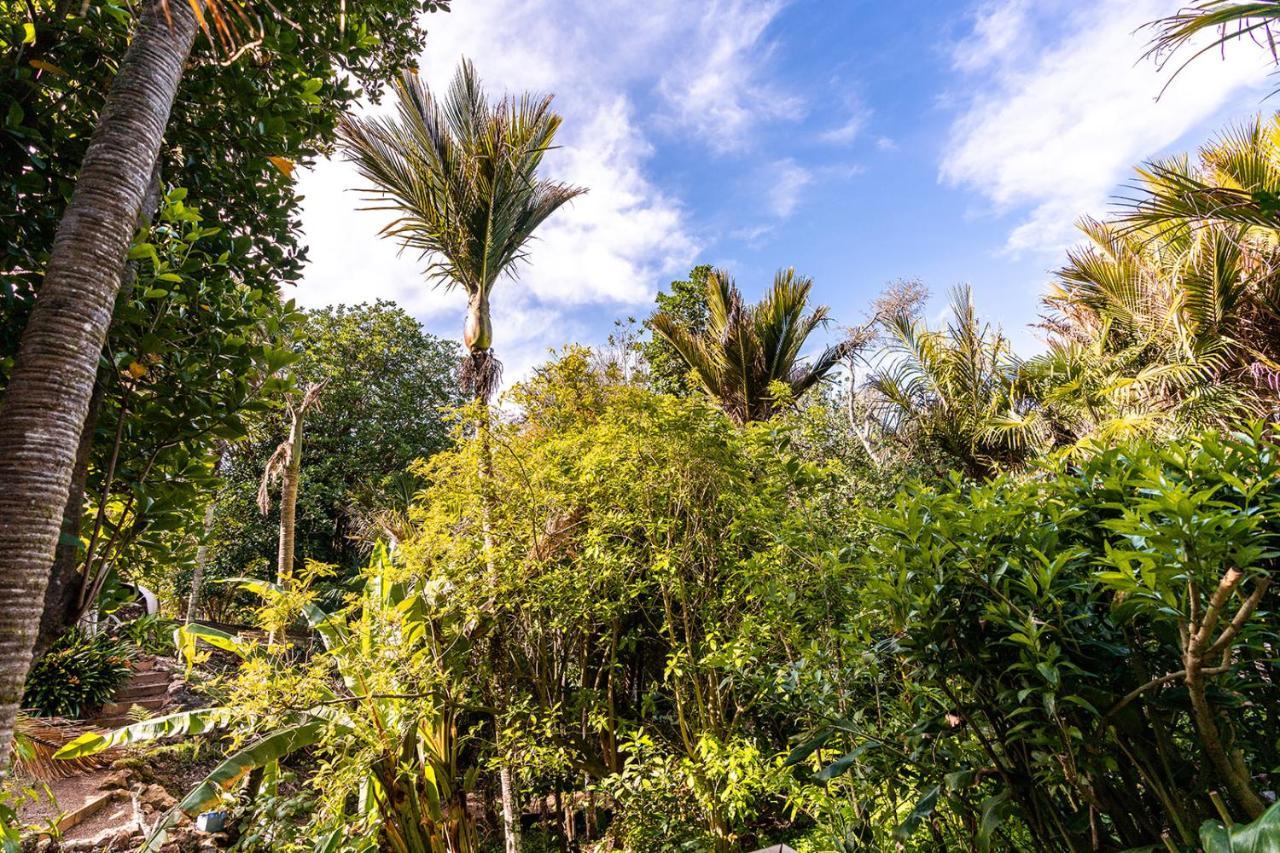 Palm Road Cottage Palm Beach Exterior foto